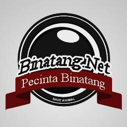 Portal Pecinta Binatang, bergabung bersama kami jika Anda mencintai binatang-binatang disekitar Anda.
