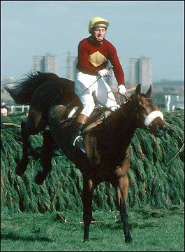 Horse racing tipster, One servipicks tipster team.