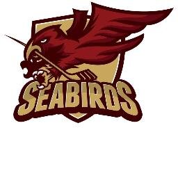 2008 Spring Hockey Team (formerly the Vancouver Seabirds)