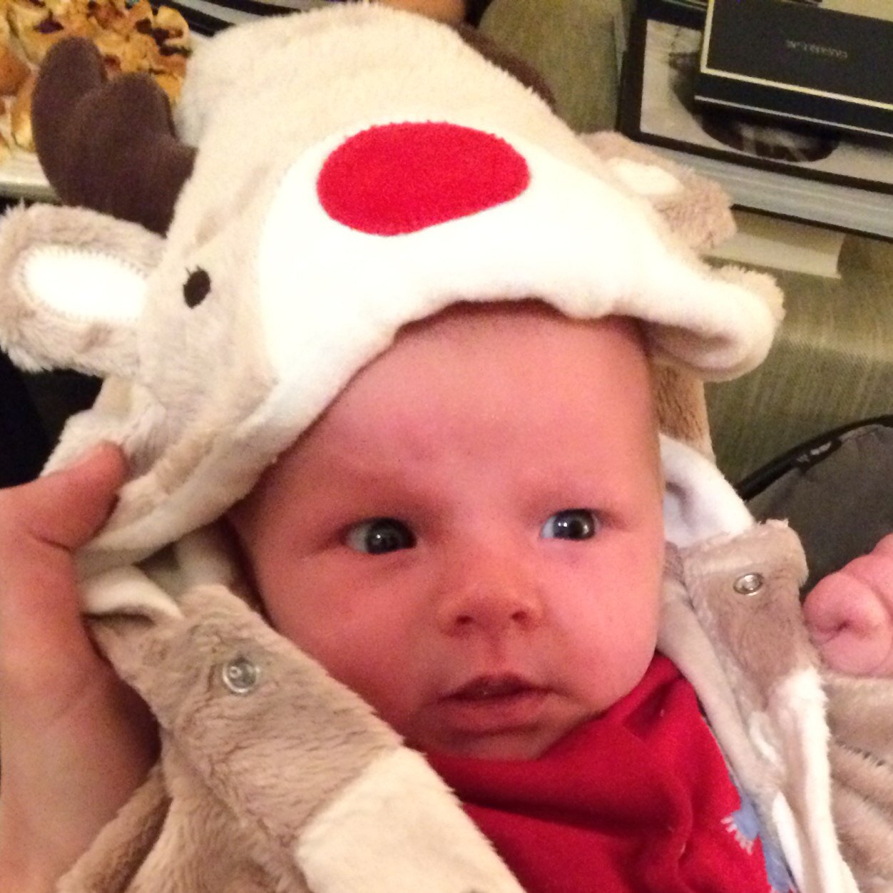 angushastie's profile picture. 