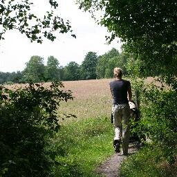 meewandelen's profile picture. Smalle heidepaadjes, draaihekjes en mul zand. Buggyproof wandelen is best lastig. Daarom: kinderwagenwandelingen.nl. Blog mee en stuur jouw favoriete wandeling!