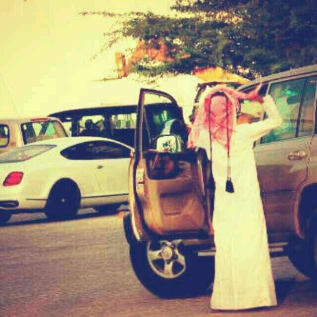 tamerhail771's profile picture. 