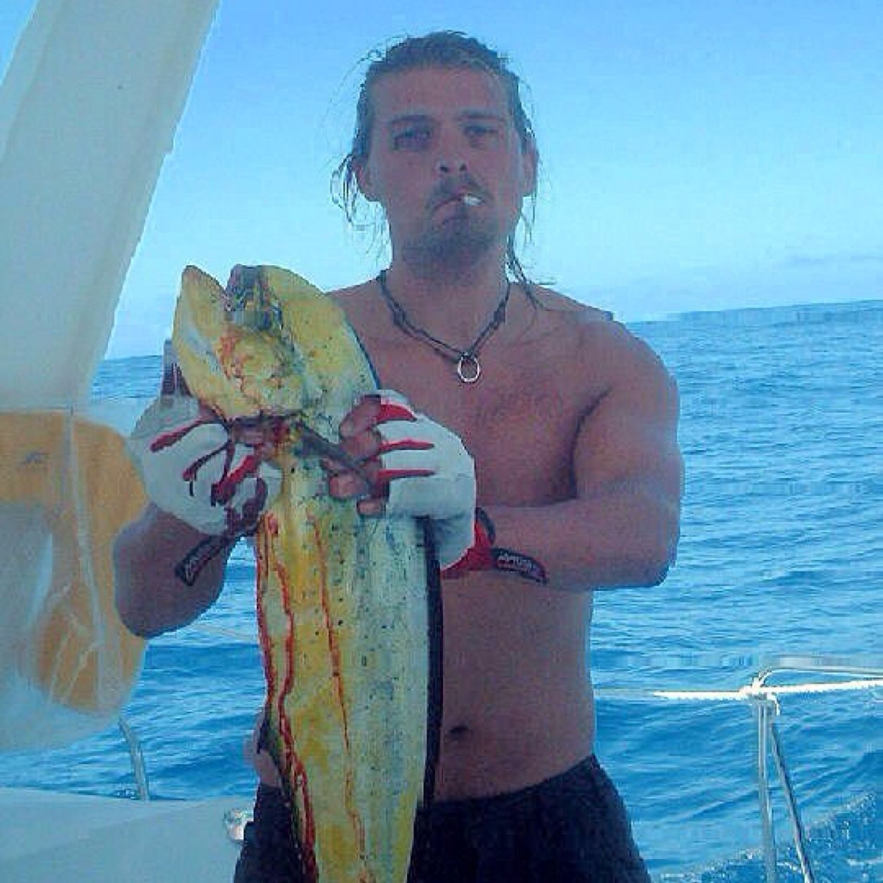 softisch's profile picture. Freelance malmö/gbg/sthlm