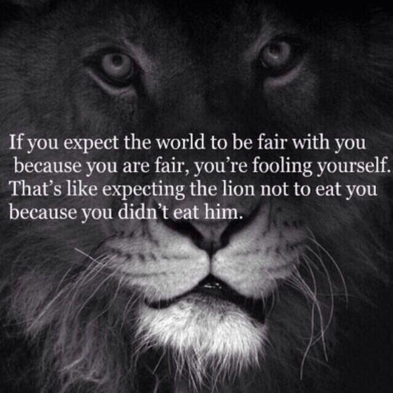 LadsStuff69's profile picture. A place full of hotties, sick jokes and all the shit lads love.