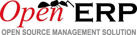 Open ERP consultant