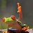 mdowden0118's profile image