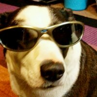 Dog__Backwards(@Blackword) 's Twitter Profile Photo