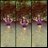 FollowMeRJA's profile image