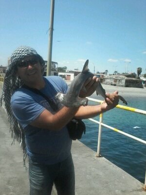 ivodlfuente's profile picture. 