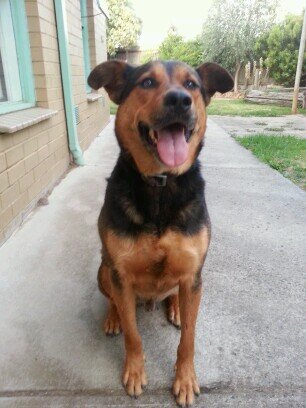 theGrowler75's profile picture. 