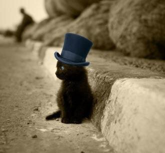 коооооооот