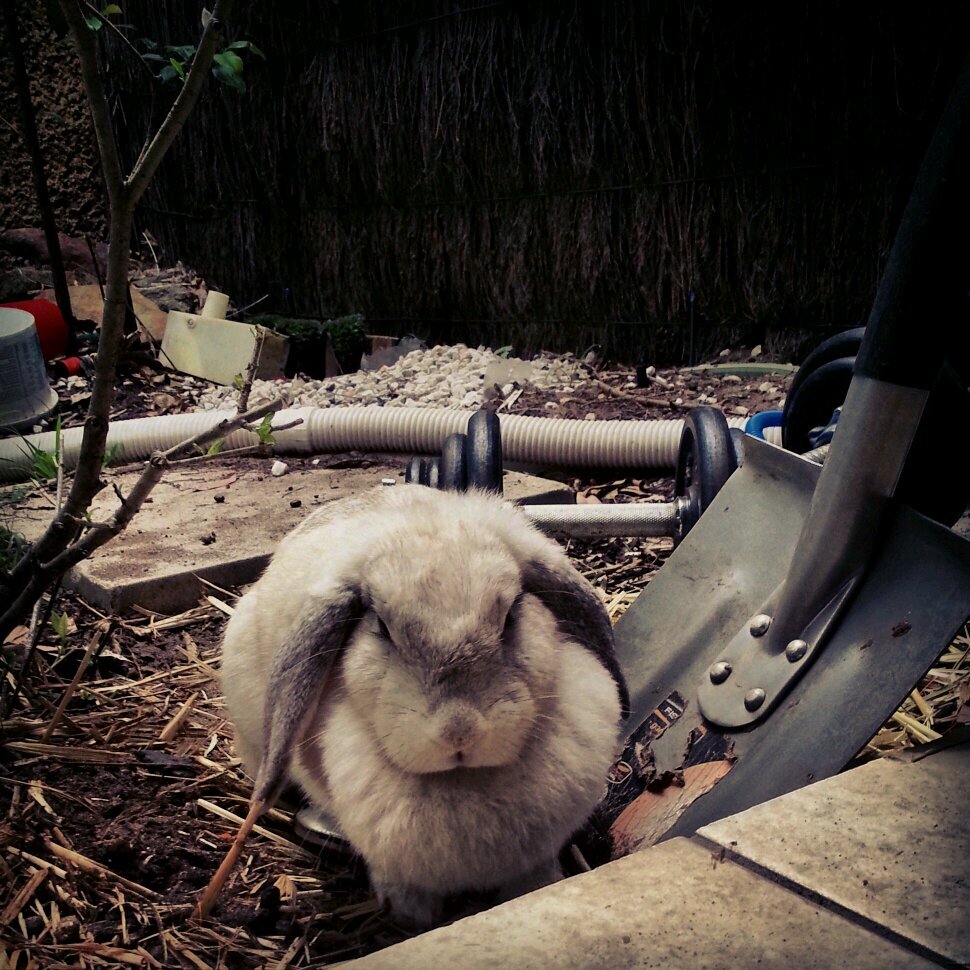 trevorhendy's profile picture. 