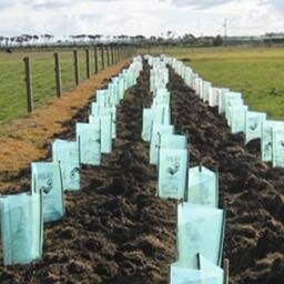 BZELandUse's profile picture. We are a Beyond Zero Emissions (BZE) research team preparing a Land Use, Forestry & Agriculture plan, part of the Zero Carbon Australia Project (ZCA).