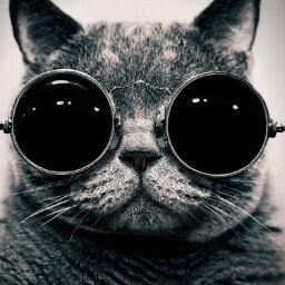 TrueSneakers1's profile picture. Quality and rare mens footwear. Check out our Instagram: truesneakers1 Email: truesneakers@hotmail.com to enquire on shoes.