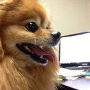 Gina Tanner - @gforcecarolina - Twitter