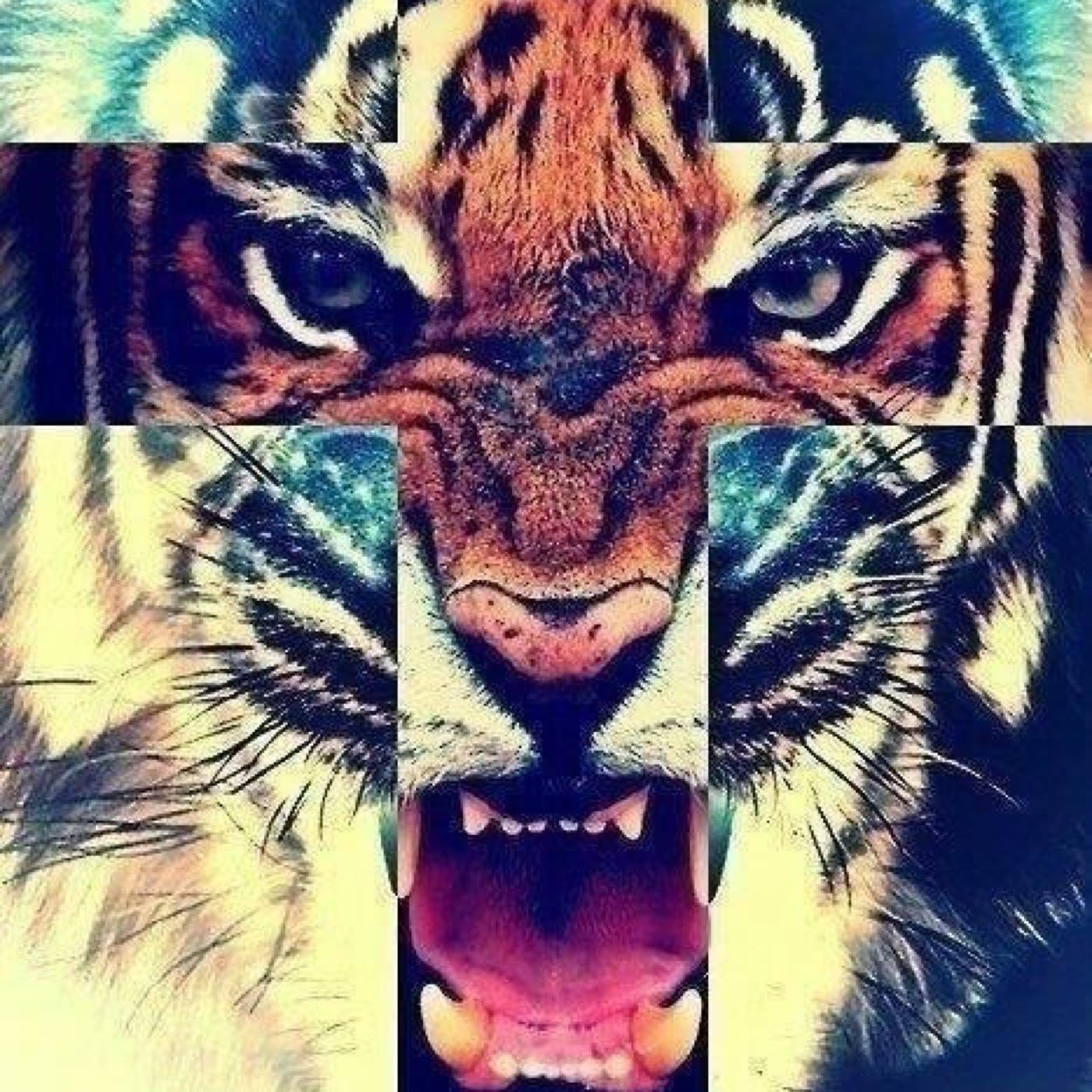 ▲ não me leve a mal, me leve para o show do 30 seconds to mars ▼