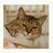 tmugioka's profile image