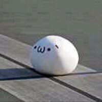 TT (@kaikitennis) Twitter profile photo