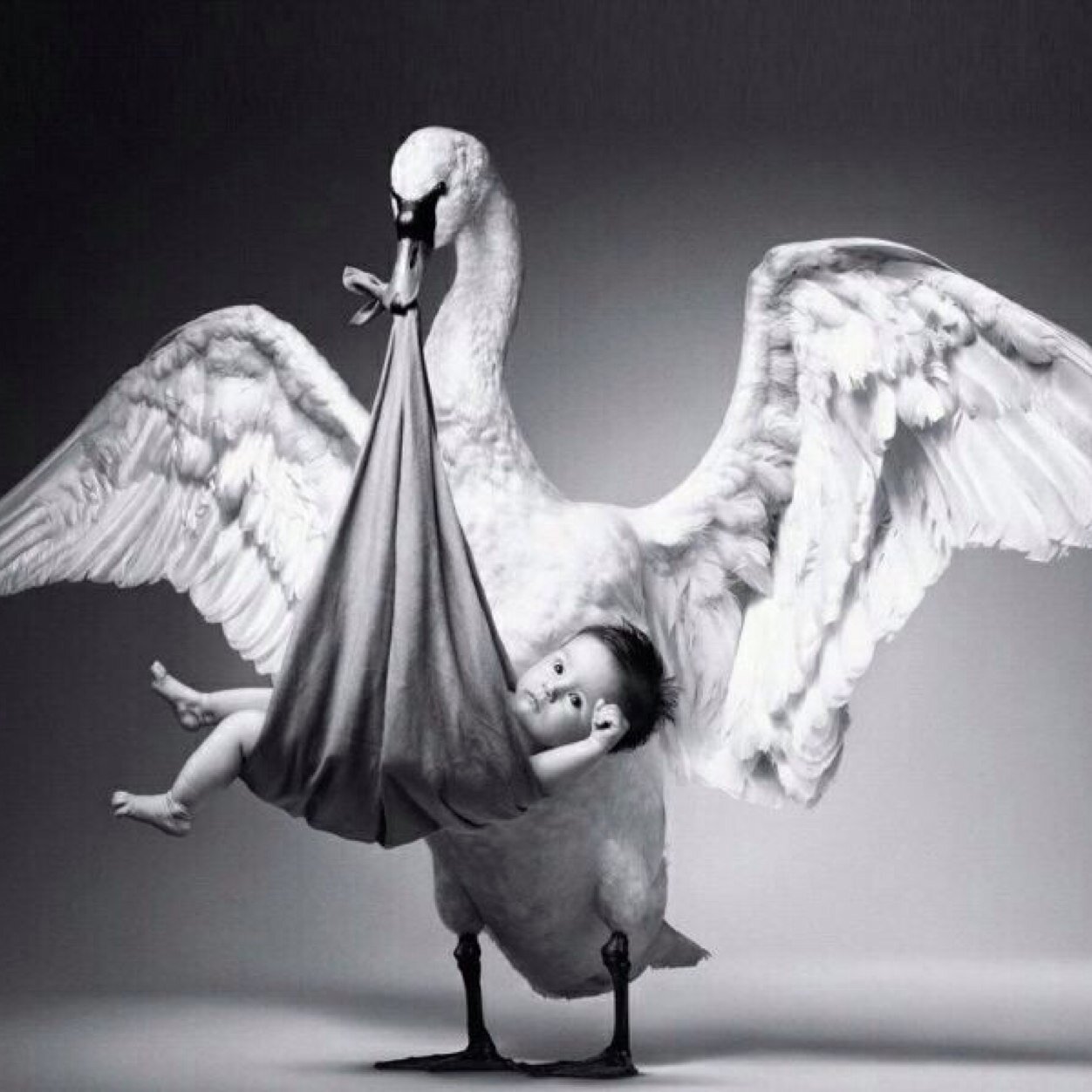 Trecicogneperte's profile picture. Siamo tre giovani ostetriche, con un amore incondizionato per la nostra professione. Il nostro sito nasce dalla voglia di stare vicino alle donne.