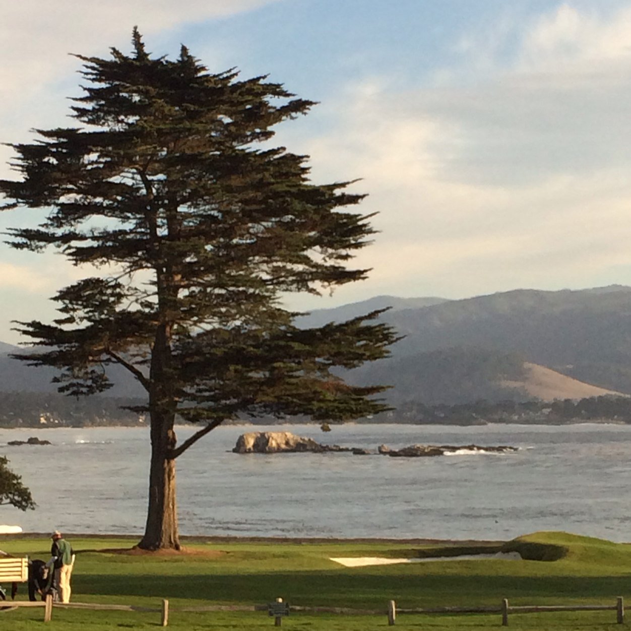 Josh_Veshia's profile picture. 