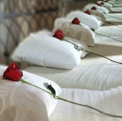 ‏‏‏‏‏‏أبتسم/ي لهم يبتسمون لك وإذ ماابتسموا لك برضه أبتسم/ي لهم'' تبسمك في وجه أخيك صدقه''♡                                        أذكروا الله الله يرضى عليكم
