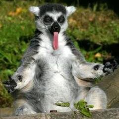 oceanoulaloulou's profile picture. je suis une fille que tous le monde aime . alors aime moi.