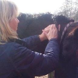 Sporttherapie voor Paarden / Equine Bowen Therapy