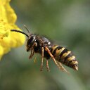 Ralph Spence - @ralph_spence - Twitter