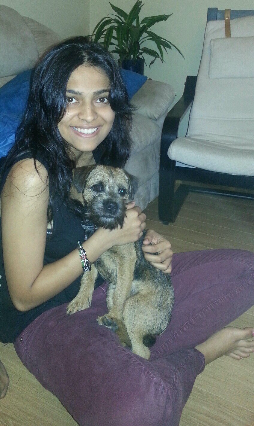 yschand's profile picture. 