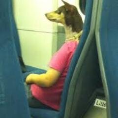 Fuyoh_sG's profile picture. http://t.co/ko3hkgGHZU