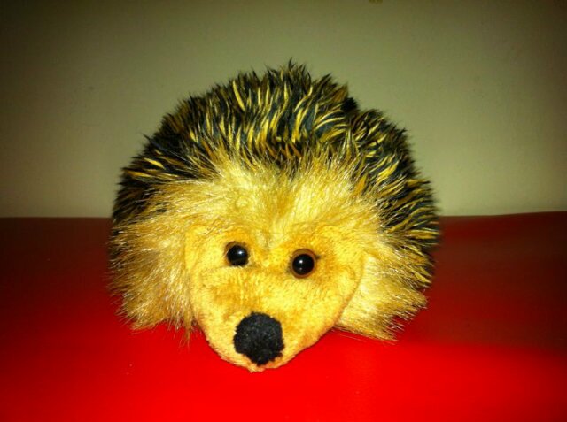 bubu68203744's profile picture. 