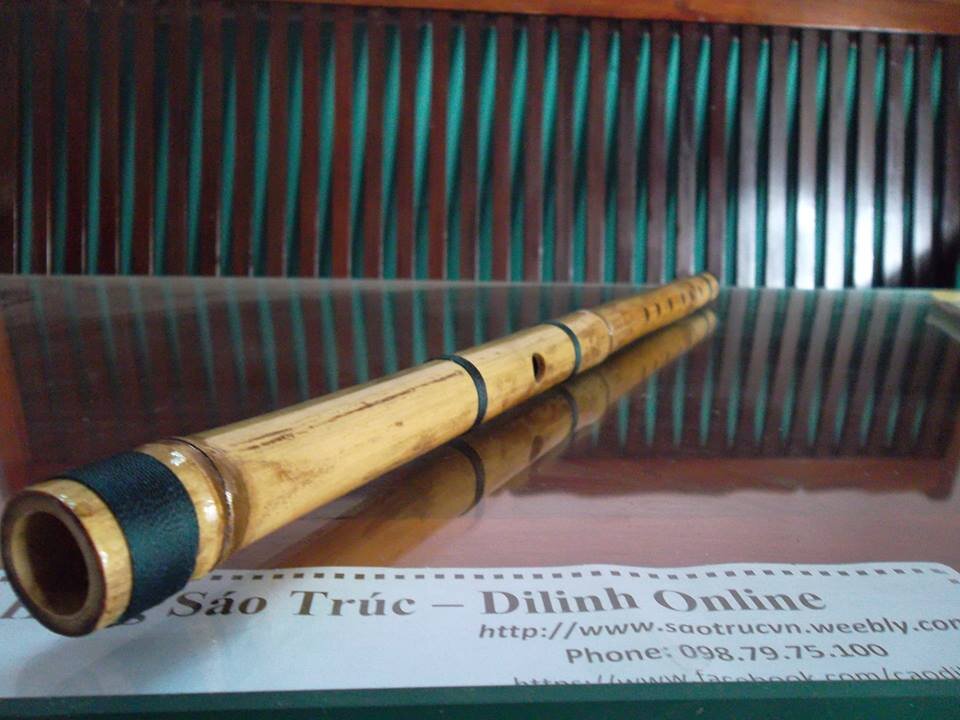 CaoNguyenDilinh's profile picture. 