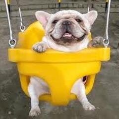 This is a free follow! Please follow my REAL account @CBarbalich