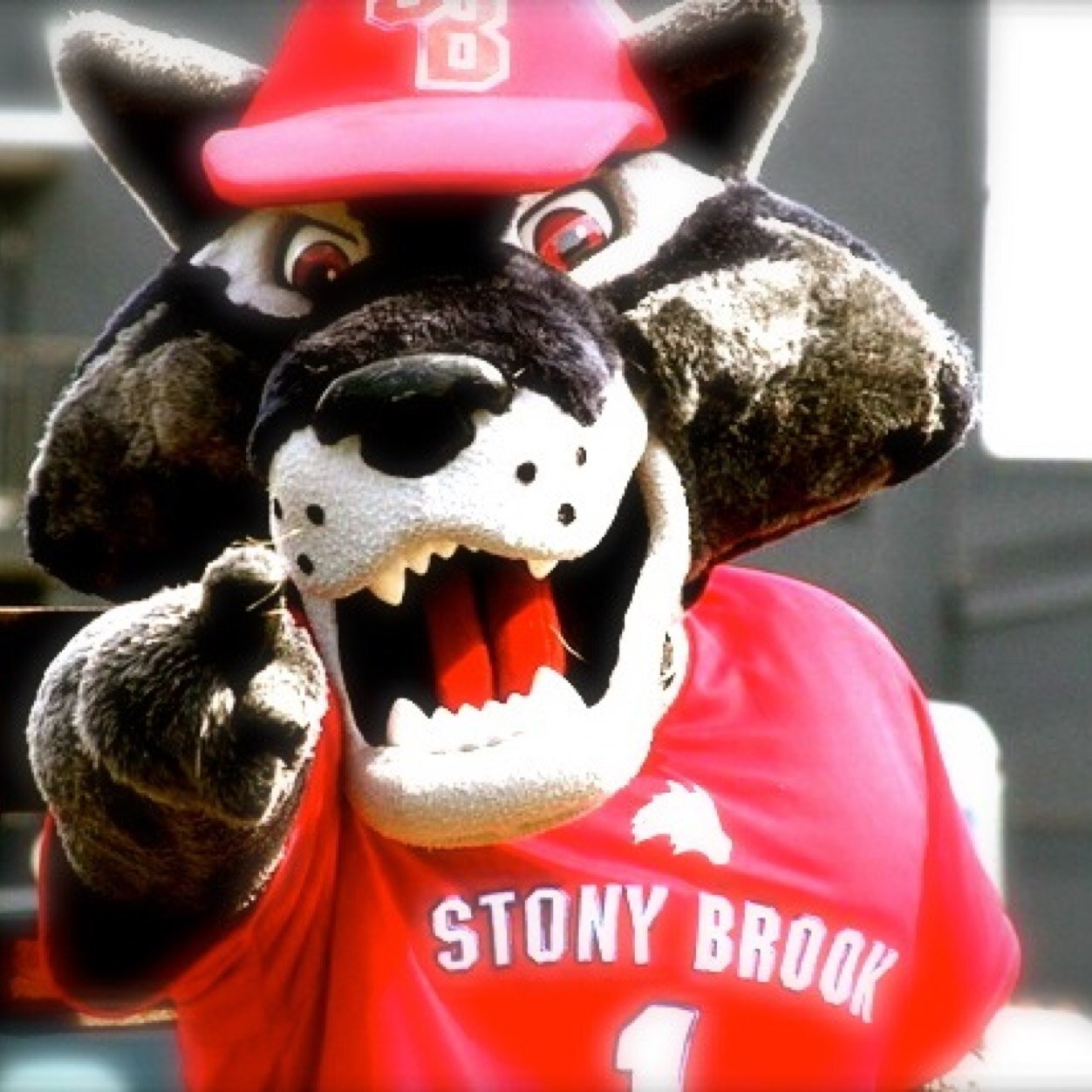 What really is a seawolf?