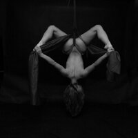 Lily Swan (@lilyswan1) 's Twitter Profile