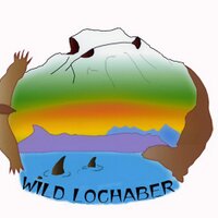 Wild Lochaber (@wild_lochaber) 's Twitter Profile