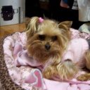 Celeste Thomas - @nonnycici - Twitter