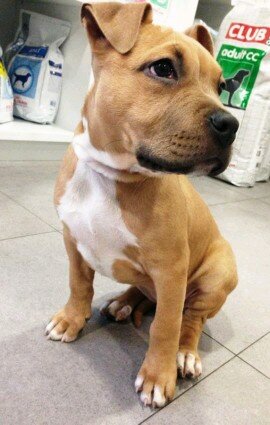 Eloyboedo6's profile picture. 