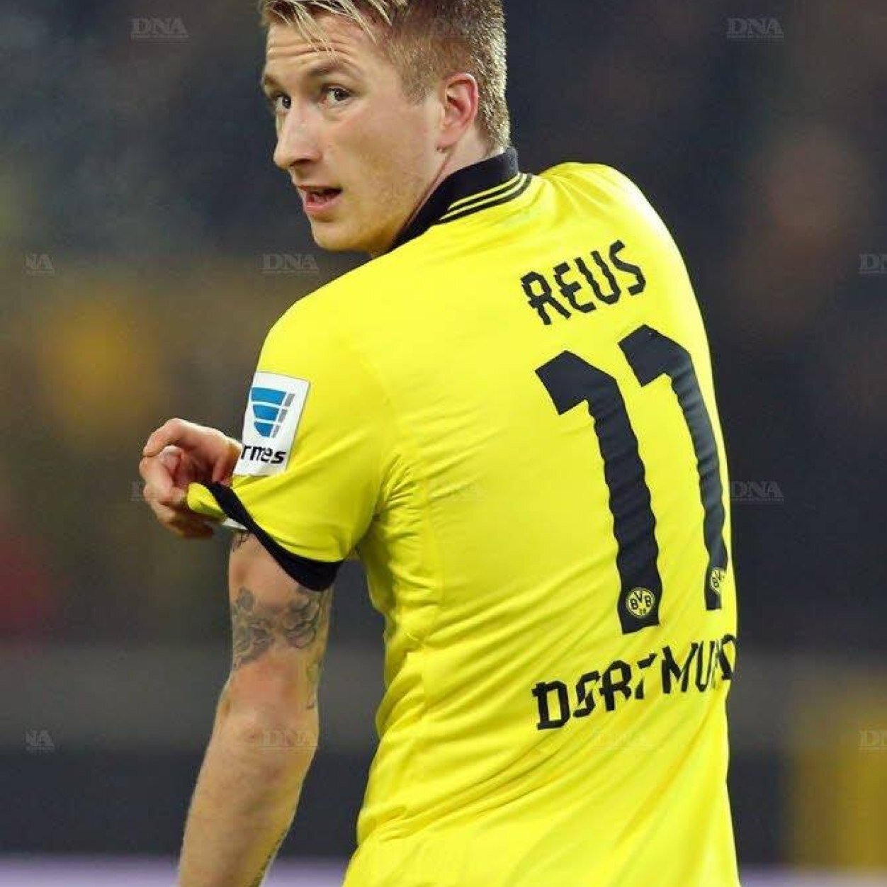 Bibich