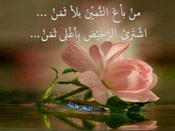 .. يا غالى الاثمان بالحيل غلوووك ..