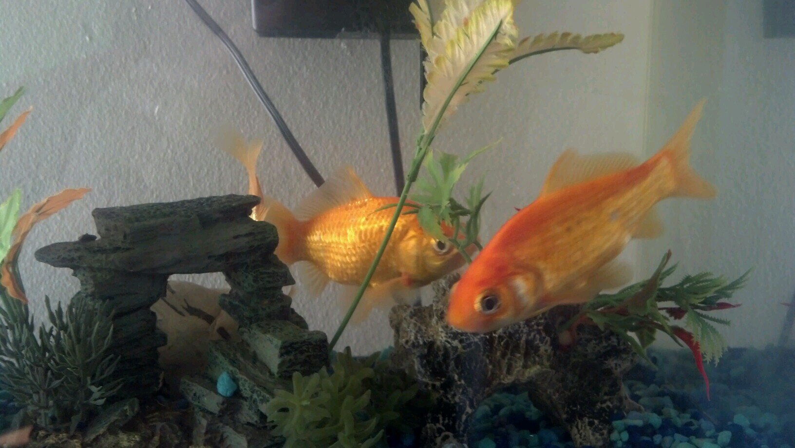 eddy_libec's profile picture. Suivez moi.... études universitaires ... restaurateur... gestionnaire ... aime la vie ... on trouve de tout même un comique.