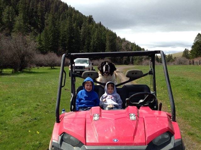 Husband, Father of boys, Farmer