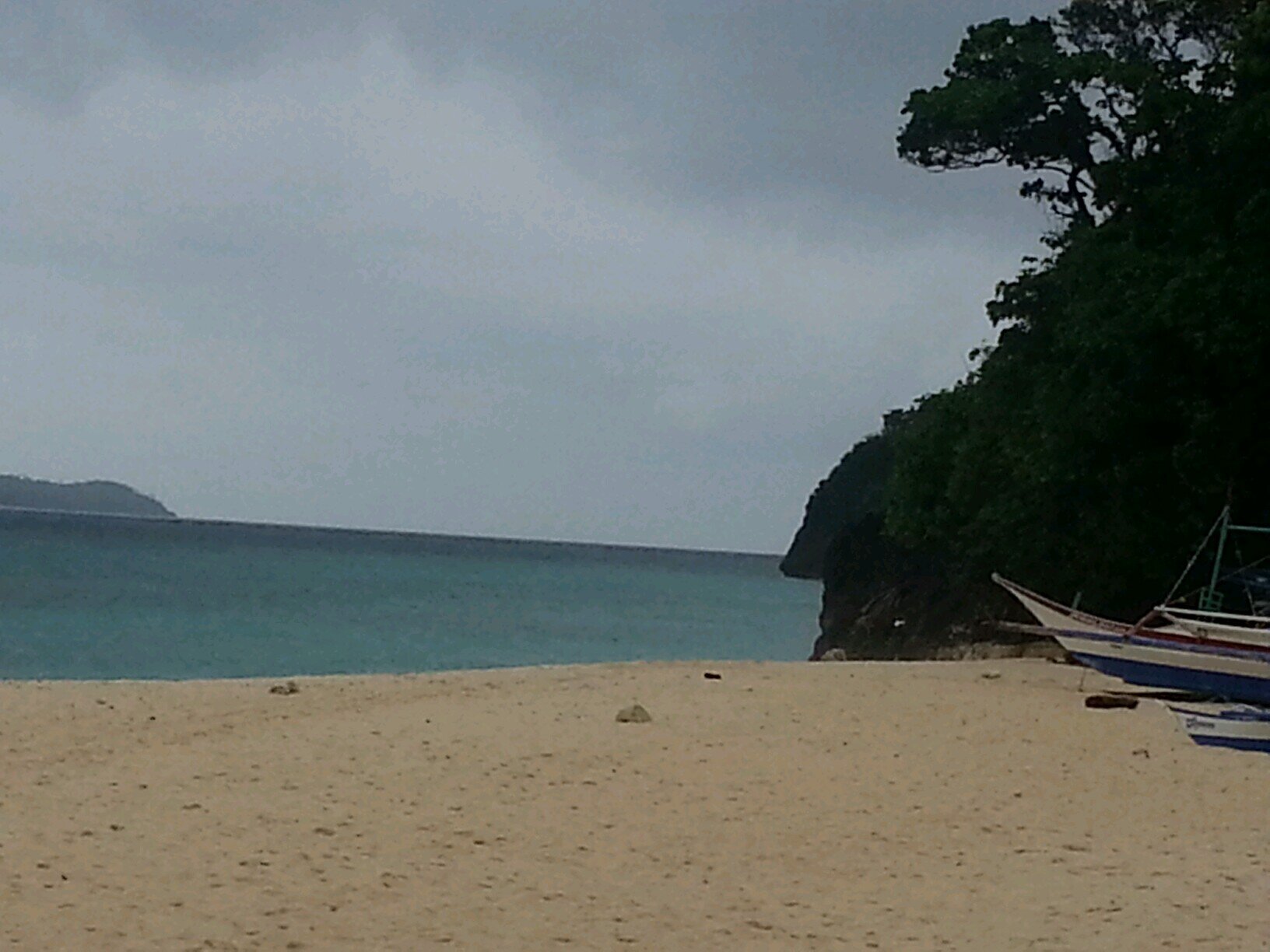 canineloves2's profile picture. 