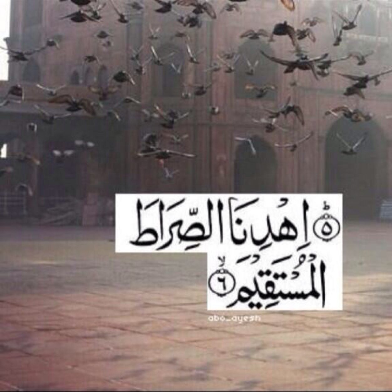 صدقه جاريه لجميع اموات المسلمين ، ادعمو الحساب ب الرتويت رجأ ، والله يكتب لي الاجر ولكم باذن الله ، والله يكتبه لجميع اموات المسلمين