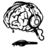 braindeaf's profile image