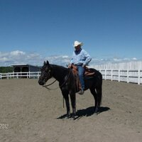 peter burke (@petersonny) 's Twitter Profile
