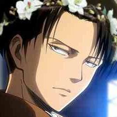 Hey yall, Levi Heichou~ DES!