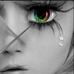 PatiAssi's profile picture. 