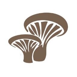 FungiFruits's profile picture. Setting up an urban mushroom farm to grow Oyster mushrooms on used coffee grounds. Aiming to make Bath self-sufficient in  mushrooms.
