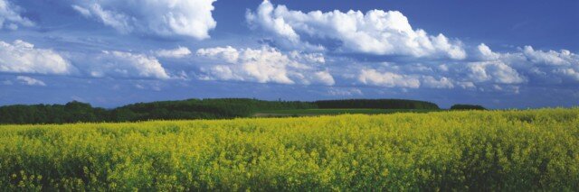 psihiatr55's profile picture. 